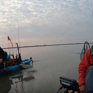 Lots of mud chickens, Kayak fishing Freeport TX