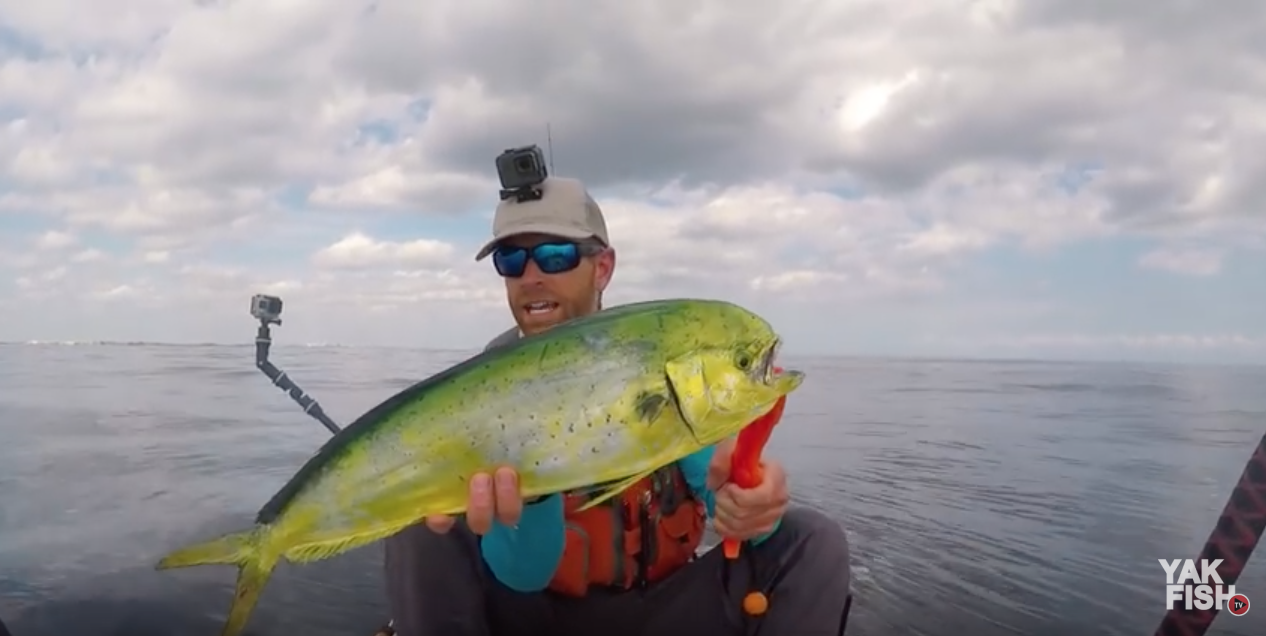 Kayak Fishing For Offshore Mahi-Mahi?!?! - Texas Fish & Game Magazine