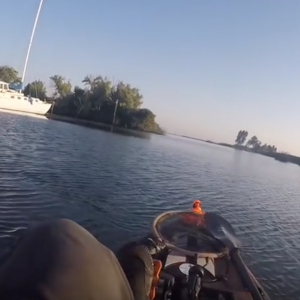 Sea Lion gets aggressive with Kayak Fisherman