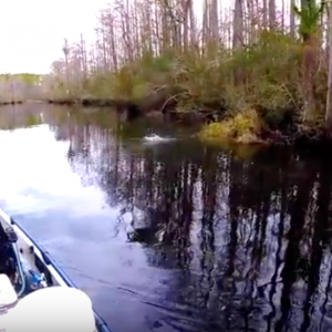 WELL THAT'S A FIRST ! | Kayak fishing Pensacola