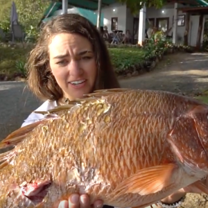 Stealing Sushi from a BULL SHARK!