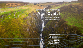 Help Save Eryri’s Iconic Waterfall and Wildlife