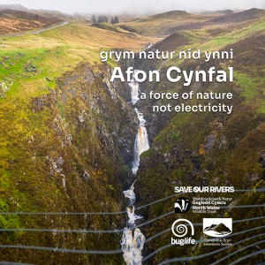 Help Save Eryri’s Iconic Waterfall and Wildlife