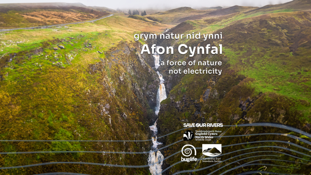 Help Save Eryri’s Iconic Waterfall and Wildlife